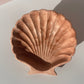 Shell Trinket